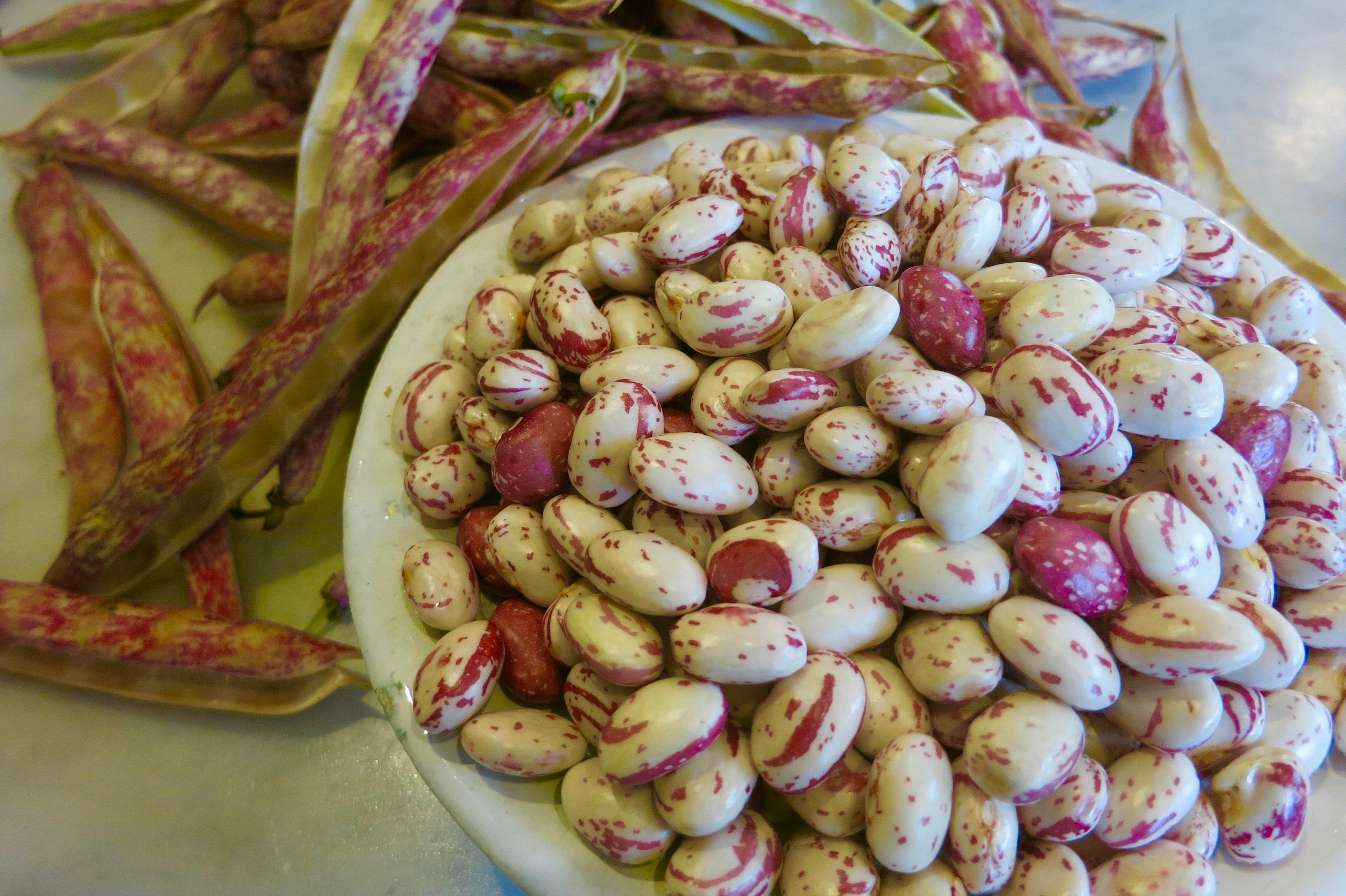 a bowl with fresh borlotti beans
