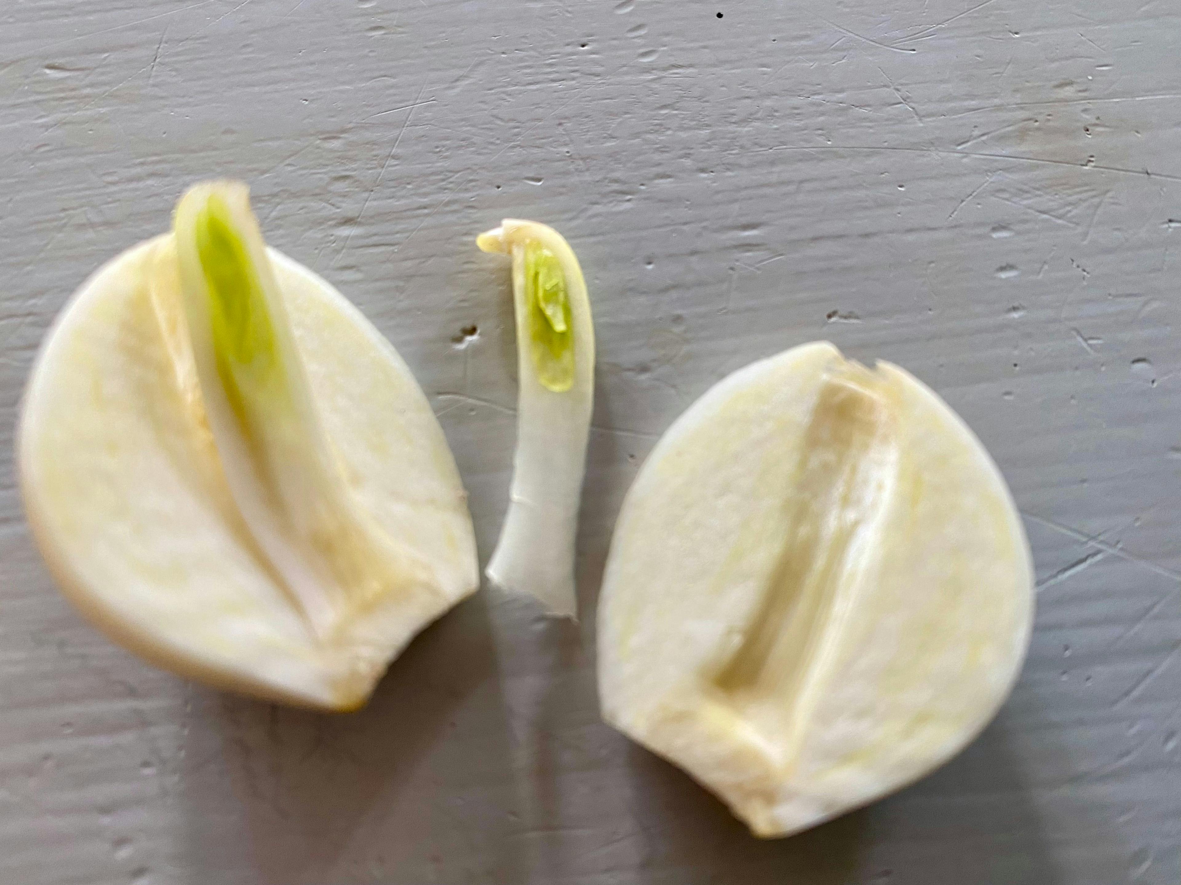 halved garlic cloves with inner part removed