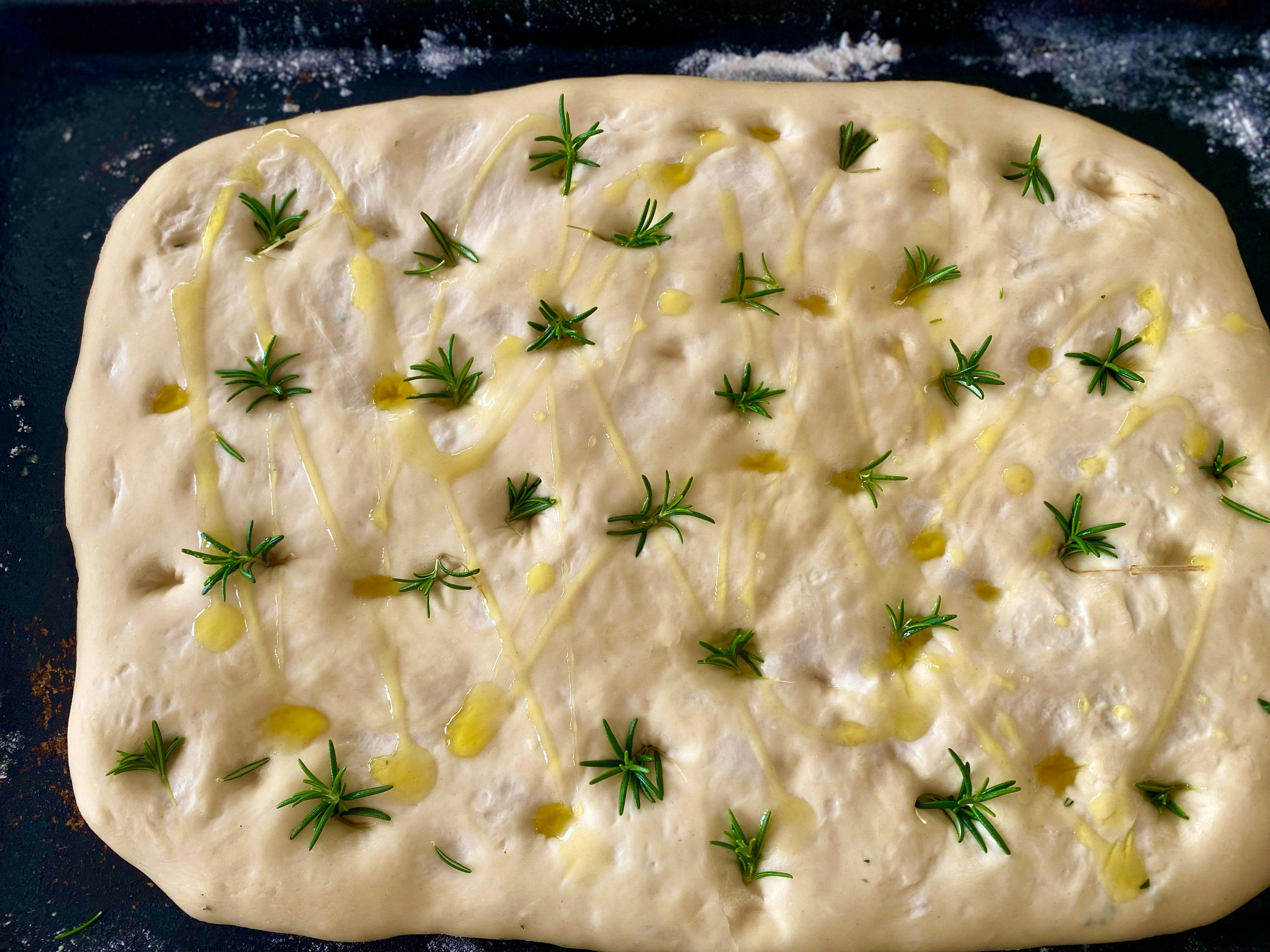 focaccia dough with little bunches of rosemary and drizzled oil