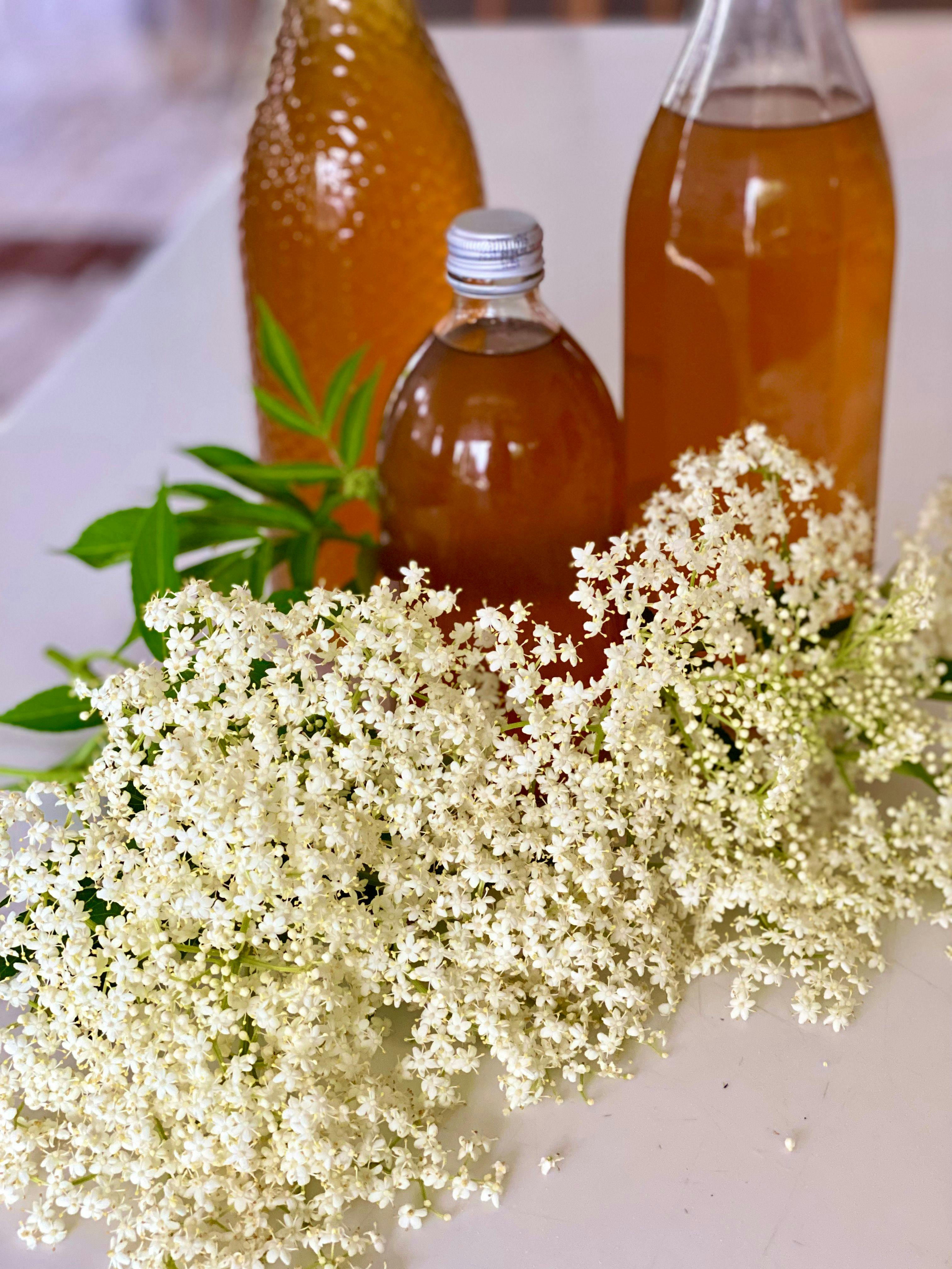 bottles of syrup with elderflowers in foreground